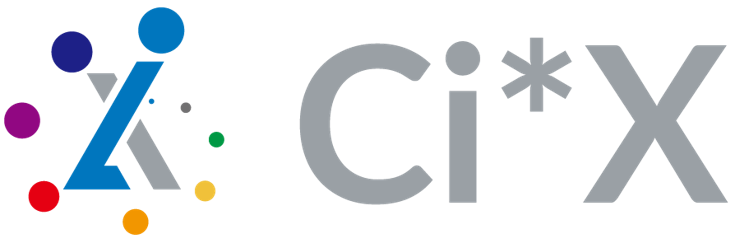 Ci*X（株式会社電通総研）
